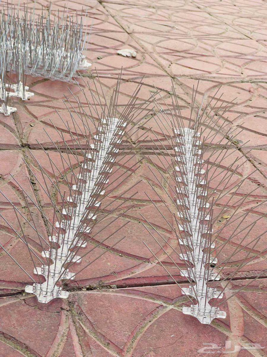 طارد الطيور شبك حمام شبك شفات شبك بغلاؤء64244833671043111