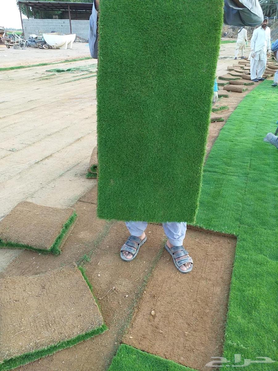 Natural Grass Supply and Installation64270060366978113