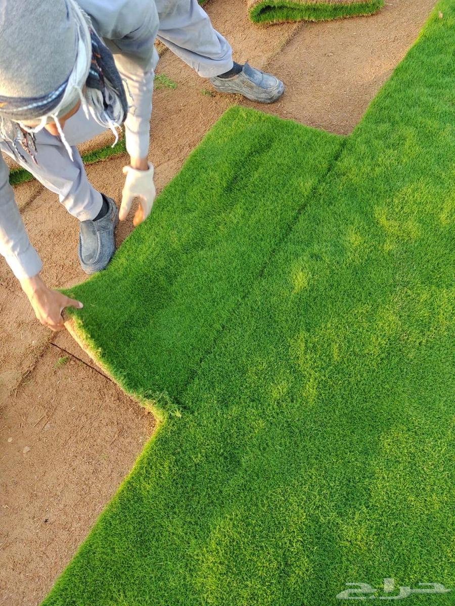Natural Grass Supply and Installation64270060366978111