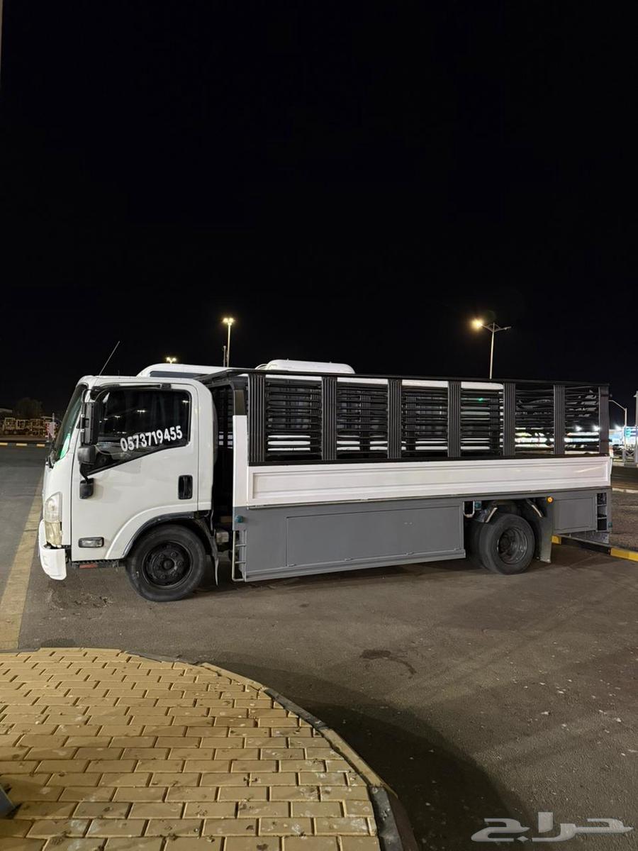 دينه دنه داخل تبوك وخارجها64241488434818110