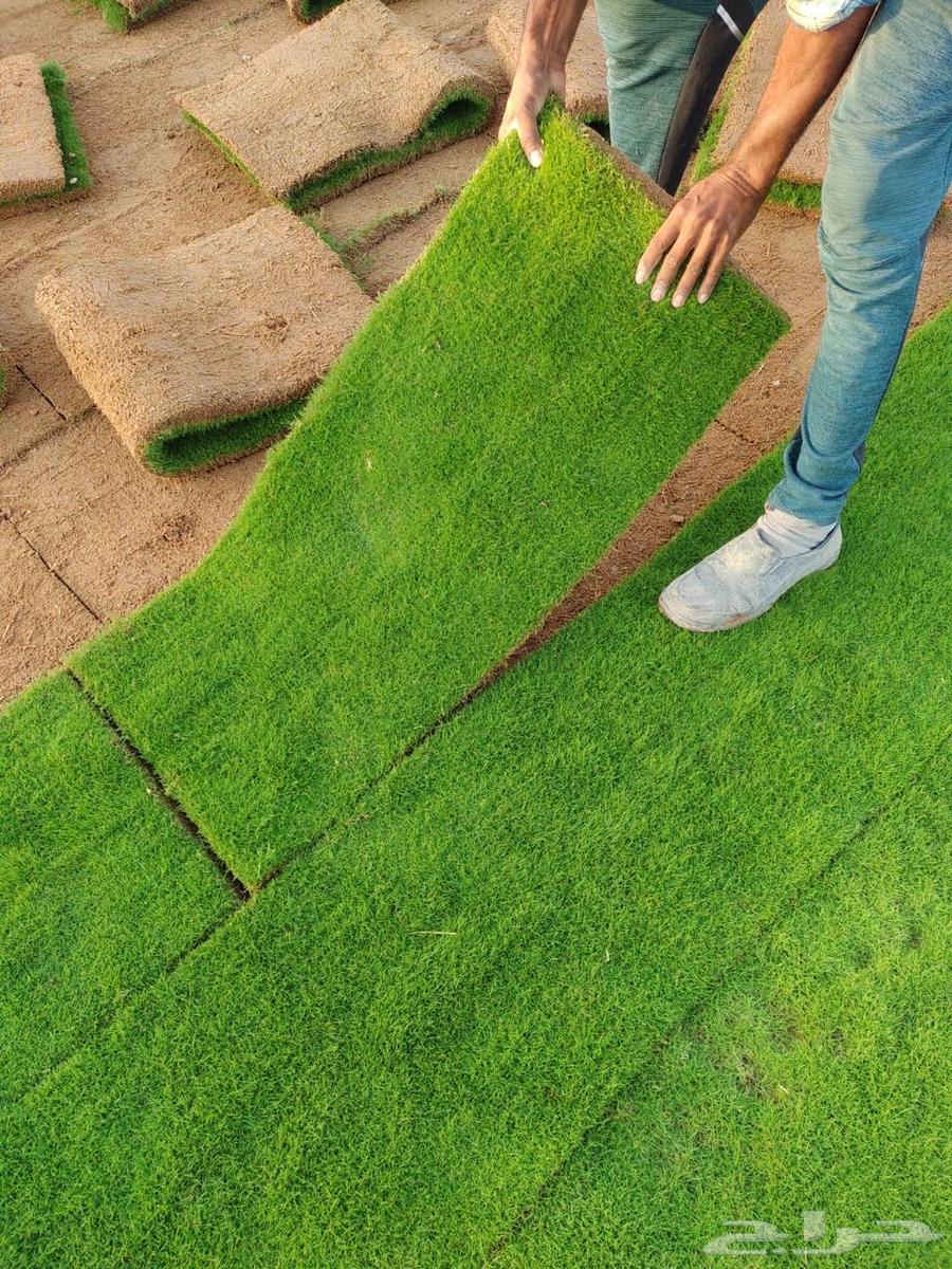 Natural Grass Supply and Installation64270060366978112