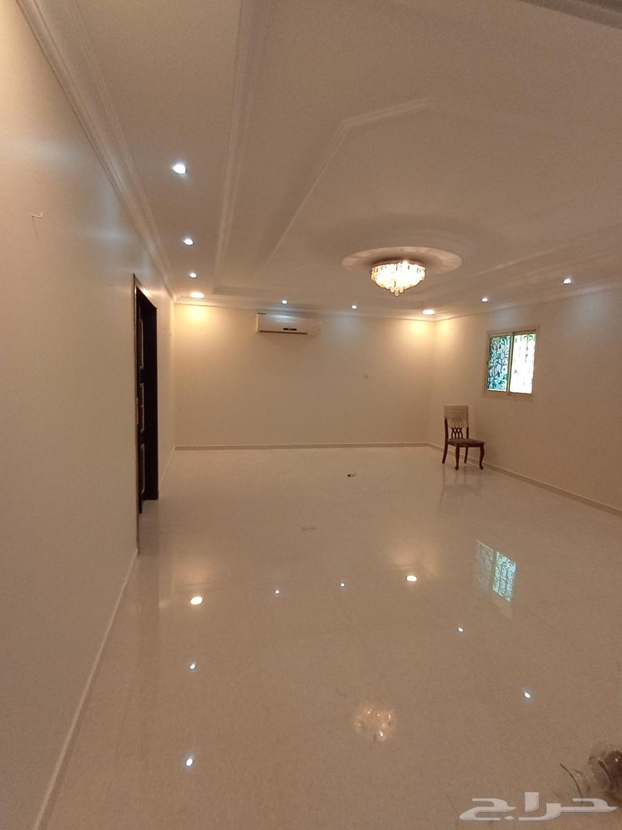 اصباغ وعوازل64241844502914110