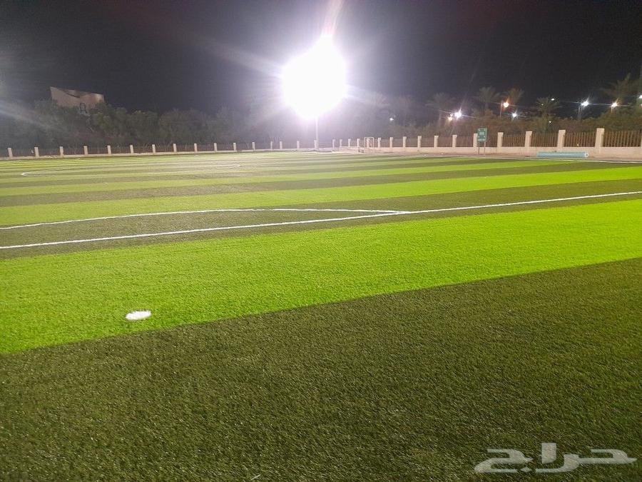 I am a master carpenter for installing playgrounds, decorations, or gardens, German place64254508314113114