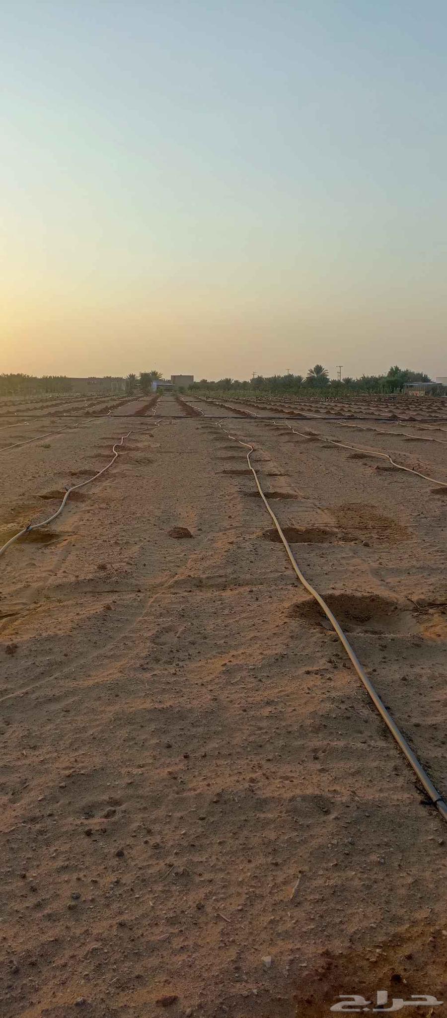 من تنفيذ اعمالنا الي حاب يتواصل64254509593857110