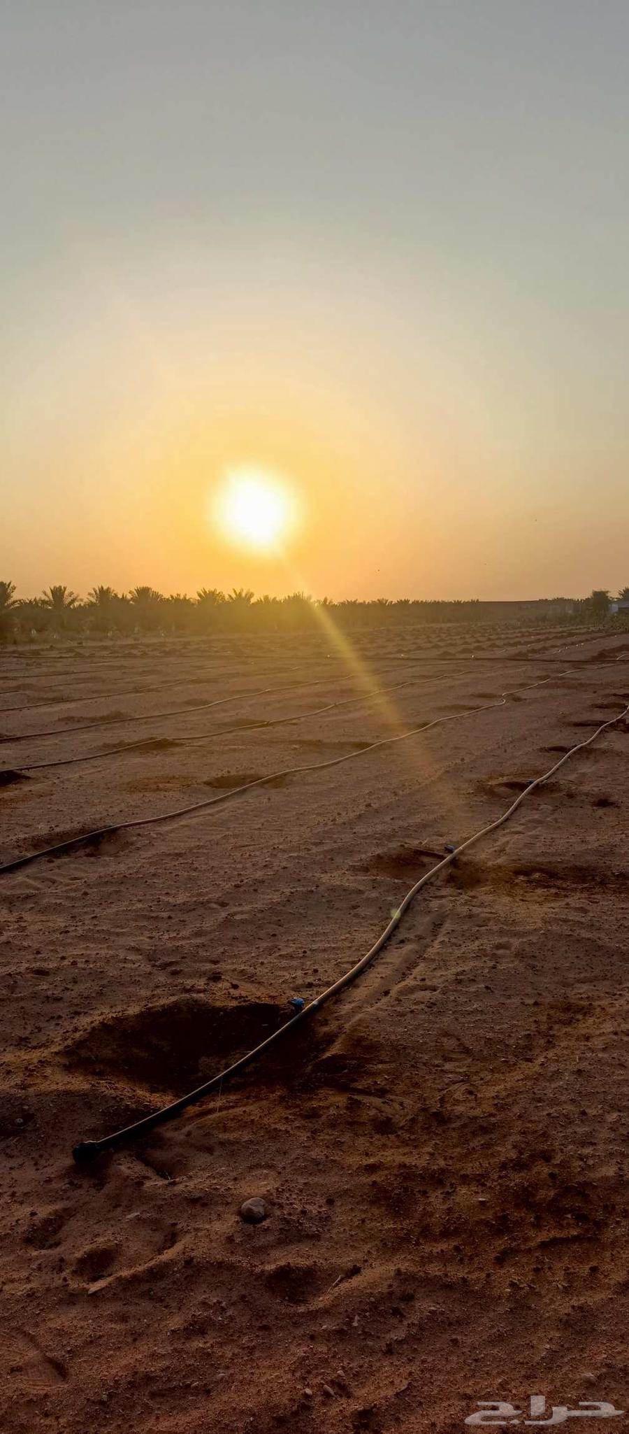 من تنفيذ اعمالنا الي حاب يتواصل64254509593857112