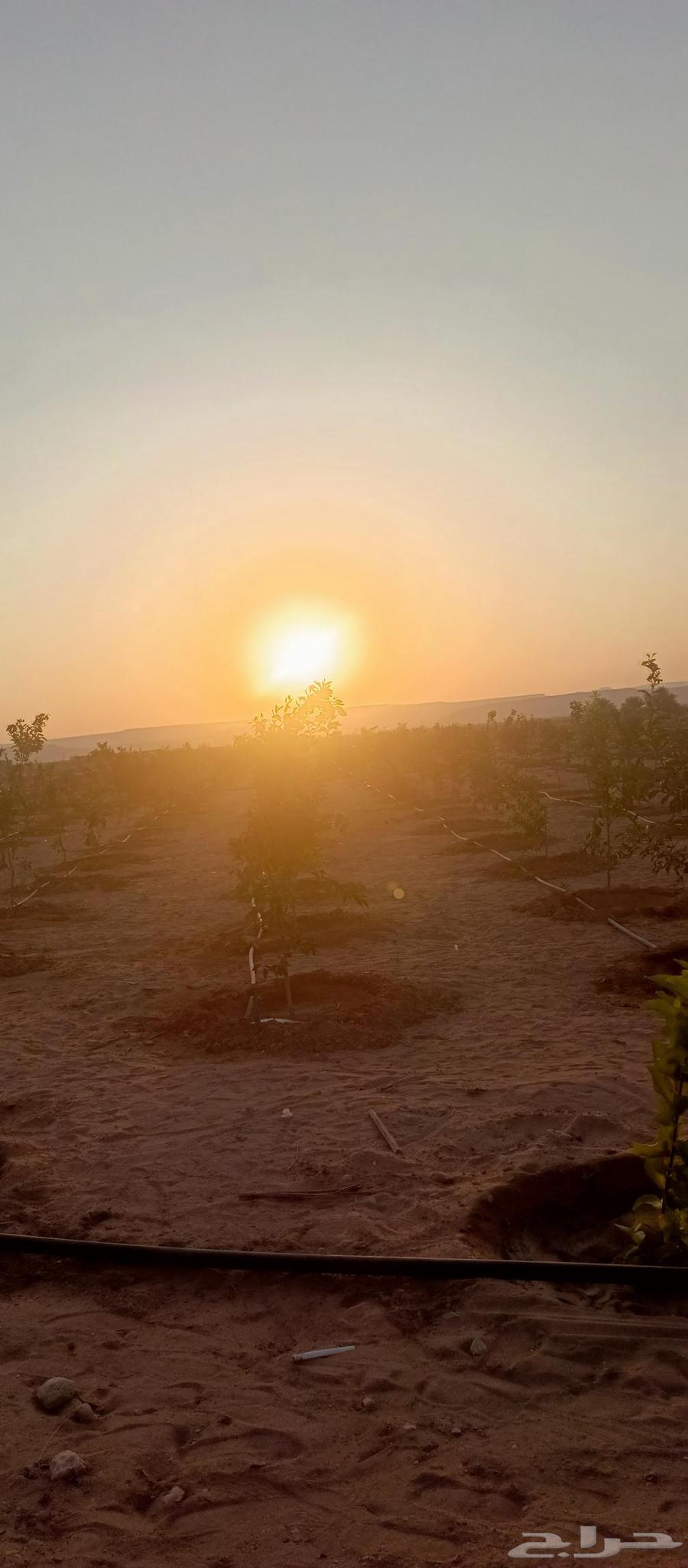 من تنفيذ اعمالنا الي حاب يتواصل64254509593857113