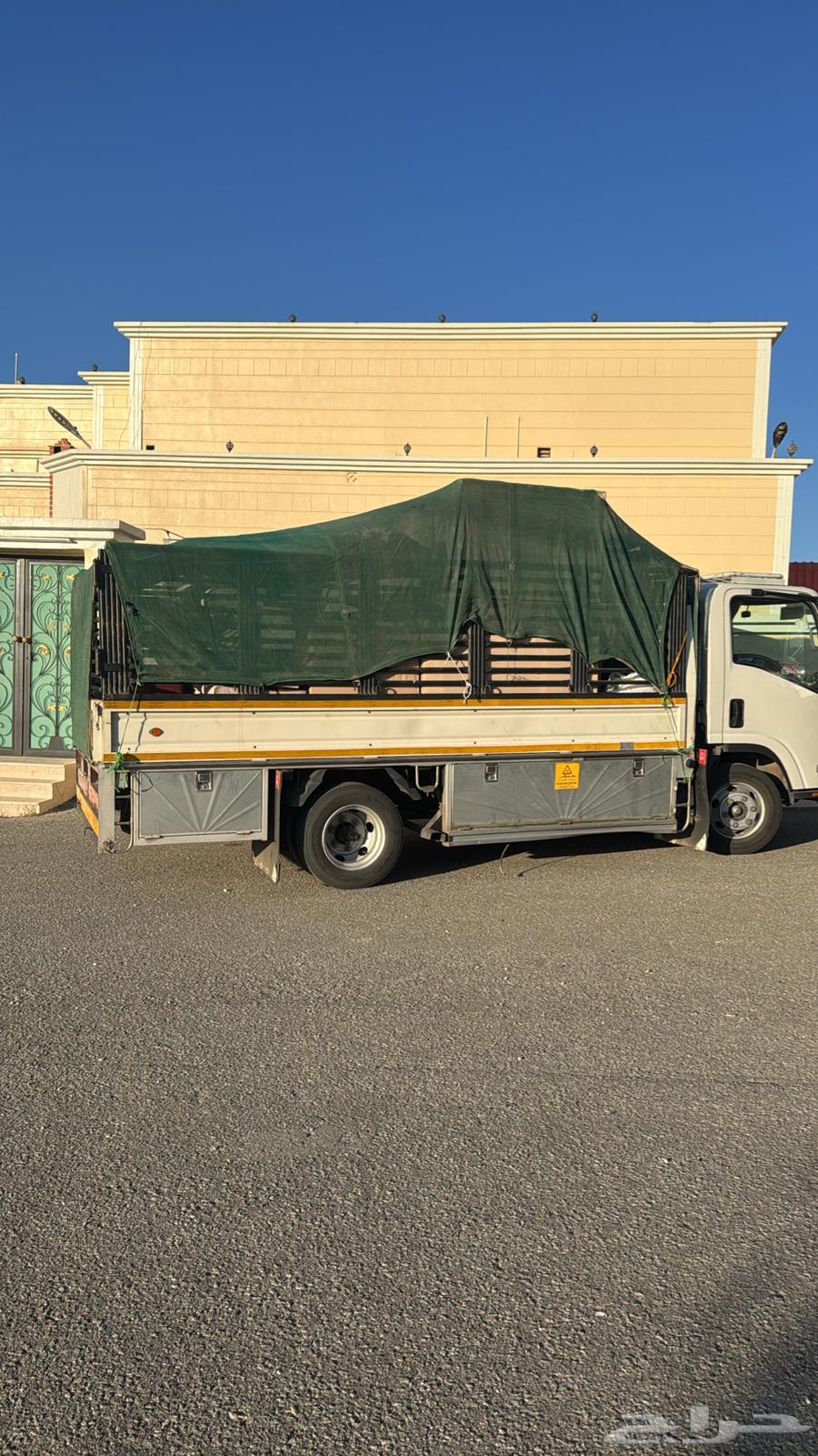 دينه مشاوير داخل وخارج اللمملكة مشوار64249939278850110