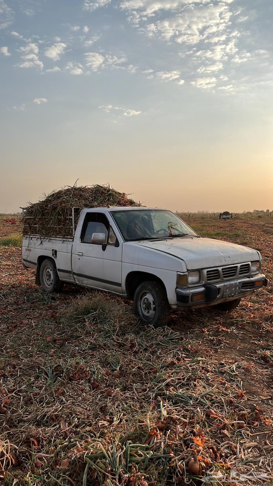 مشاوير حائل و قراها64245000776706111