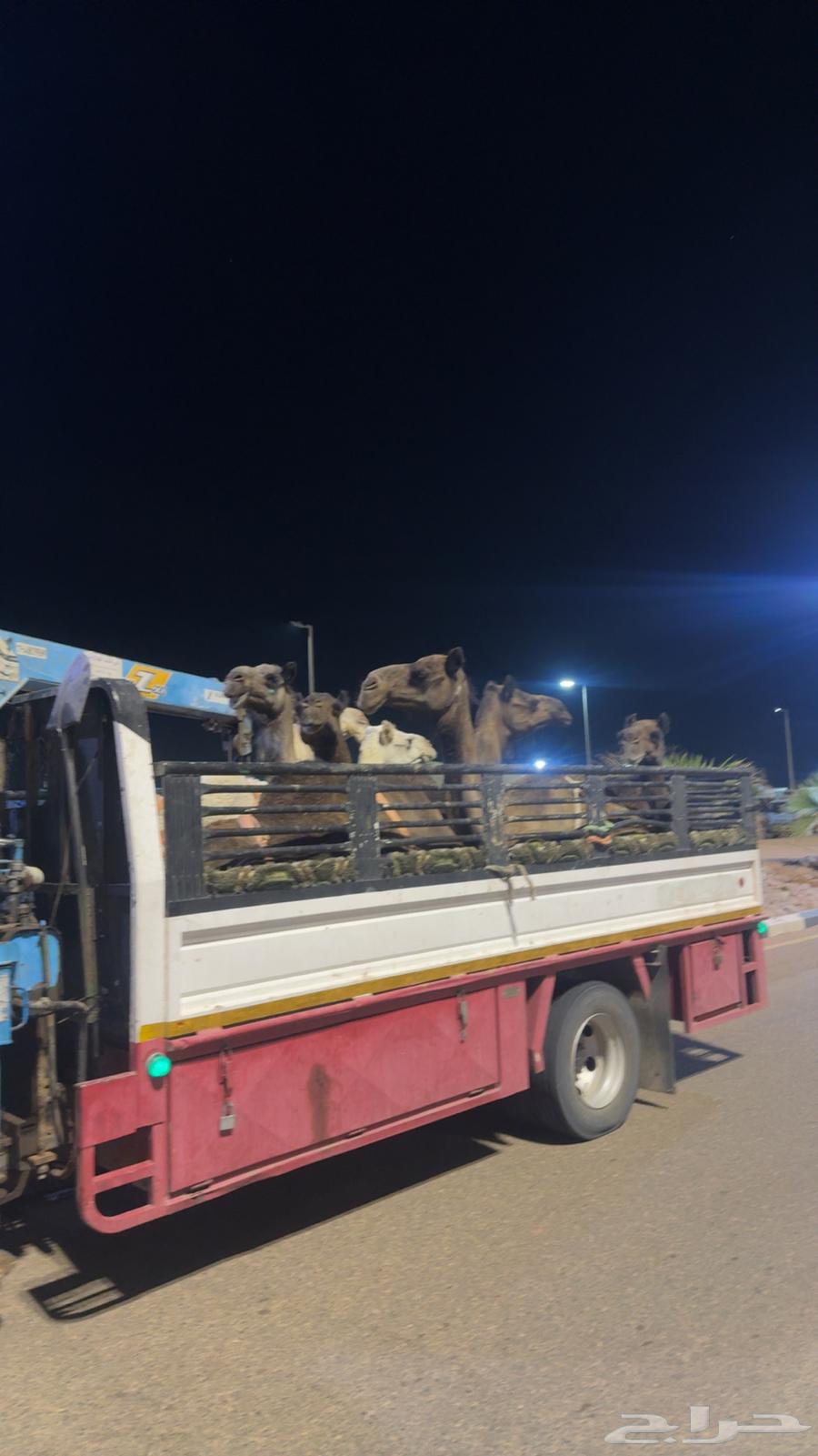 دنا هيدروليك64250137476993110