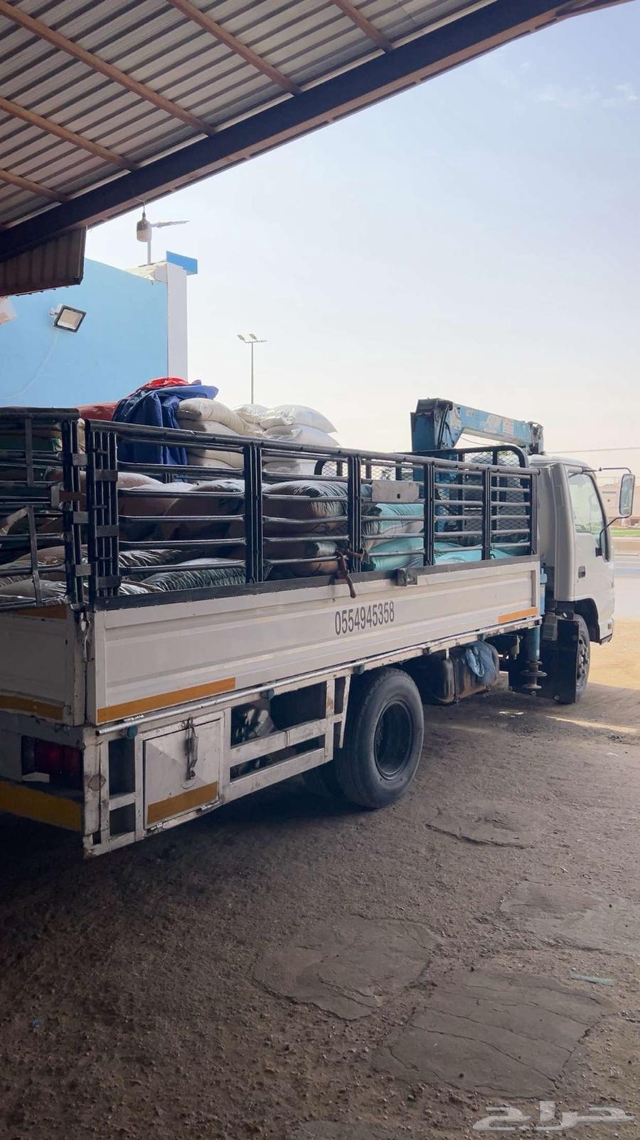 Transport camels in Qassim walking to Riyadh64253986669698110