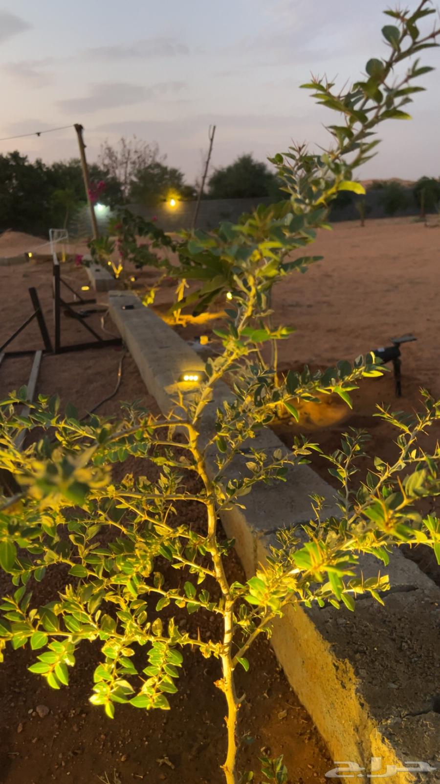 مخيم عائلي للايجار64253978937345112