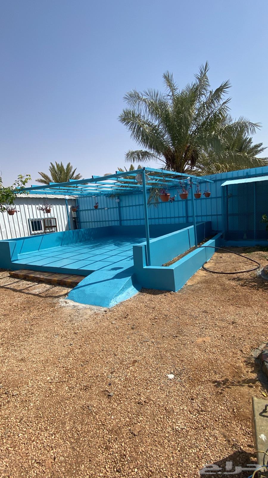 دهانات وديكورات ابو محمد السوري64249939574785111