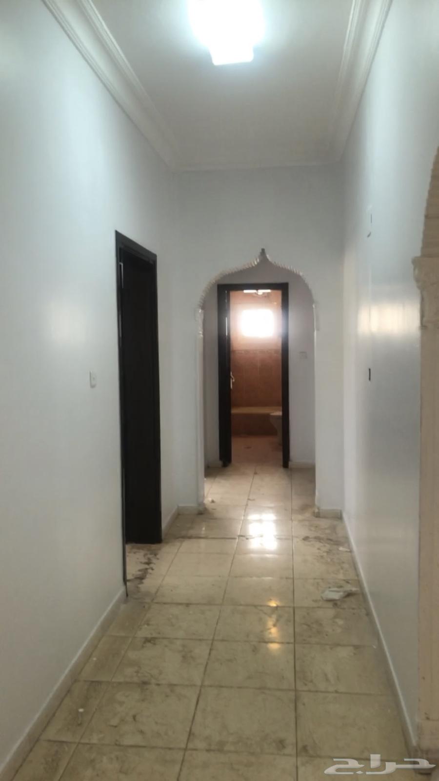 ترميم تبوك64249940441730110