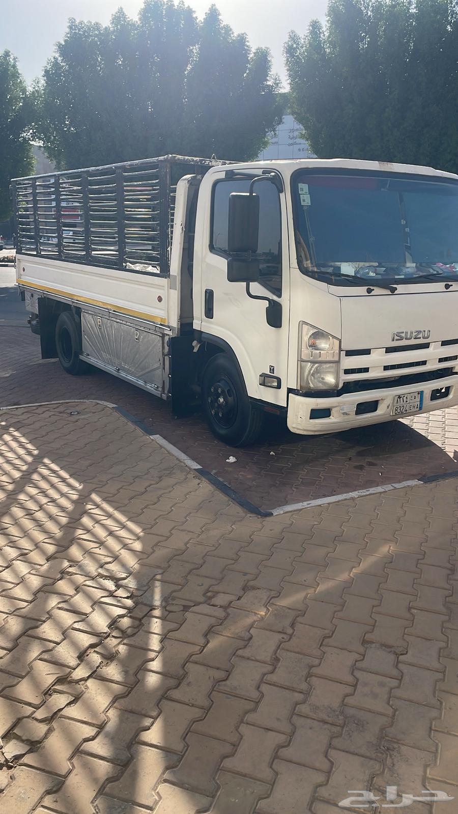 دينا نقل عفش64254153287169110