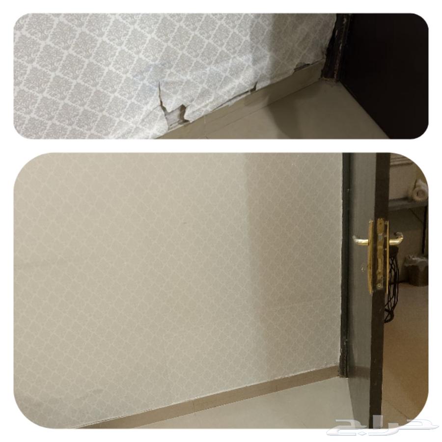 ديكورات ودهانات فني ديكور64249505321858111