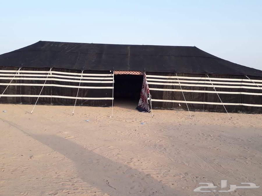 البيع البيوت الشعر جميع المقاسات64254153206785114