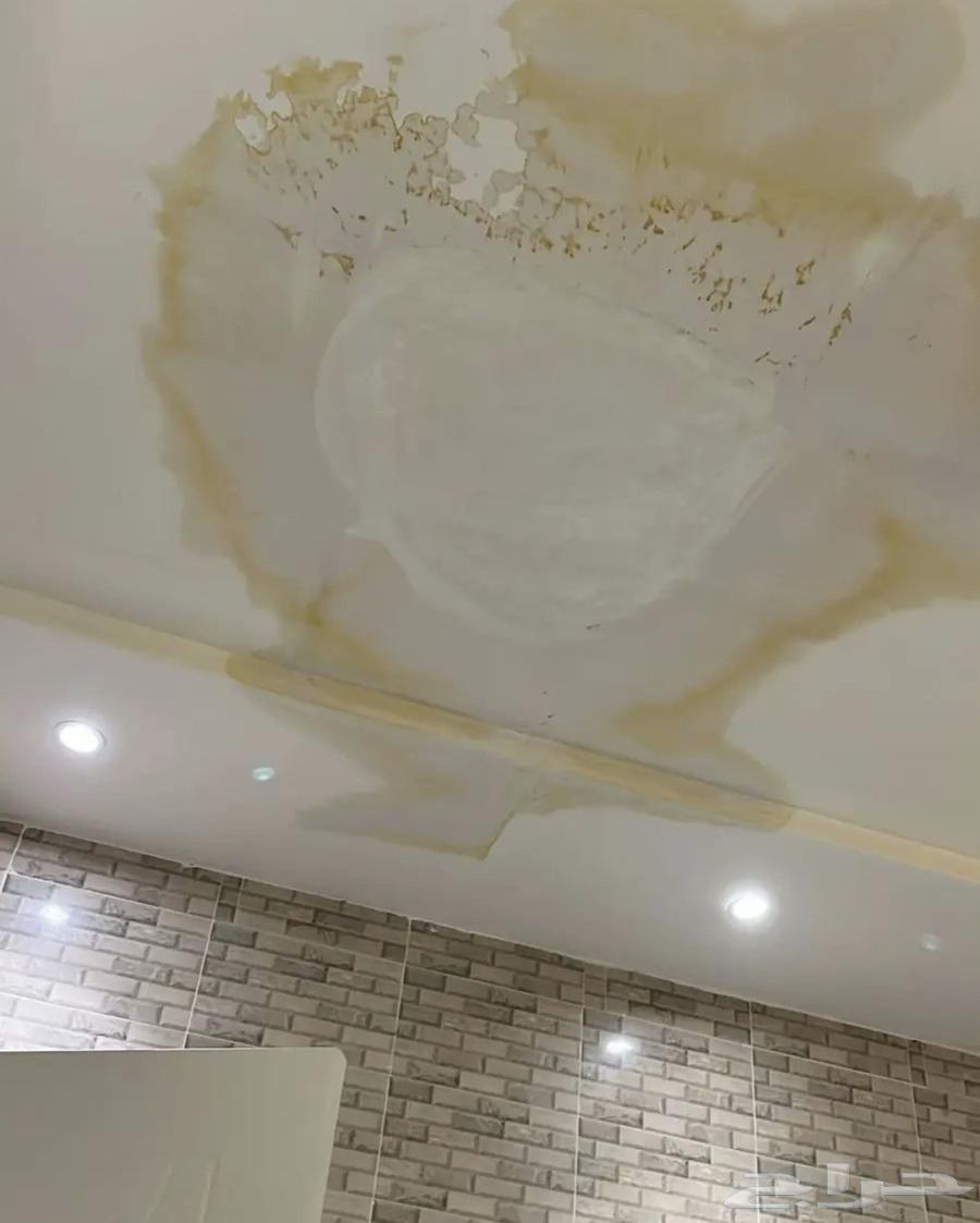 Water Leak Detection and Insulation64263433180291114