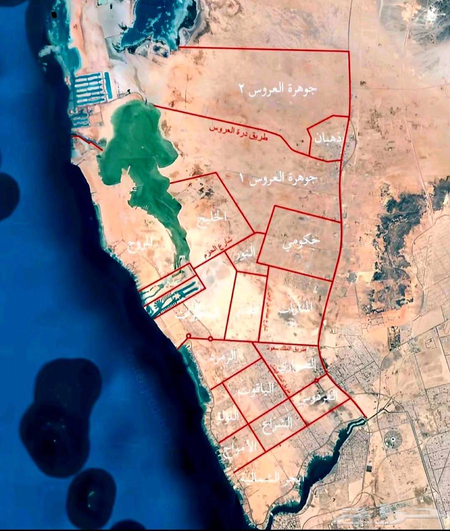 العرض عقارتكم وتسويقها نوفر لكم الوقت والجهد تسويق العقار64254143924097110