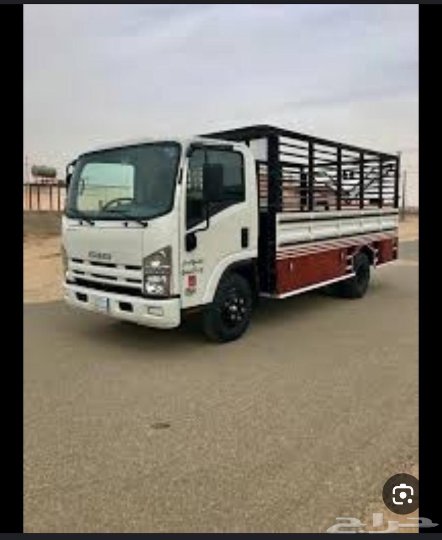 دينة نقل العفش داخل الرياض64250137303299110