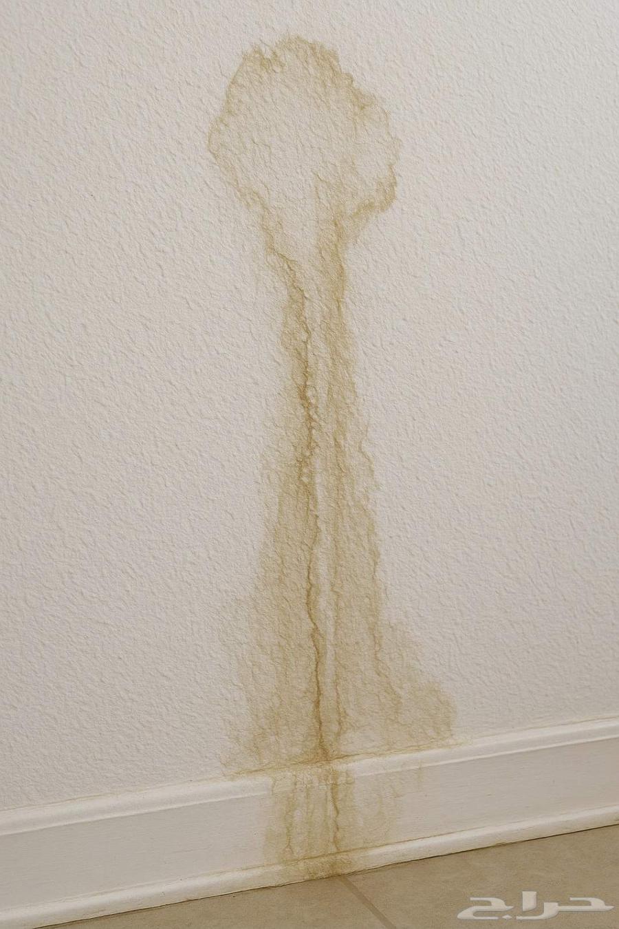 Water Leak Detection and Insulation64263433180291113