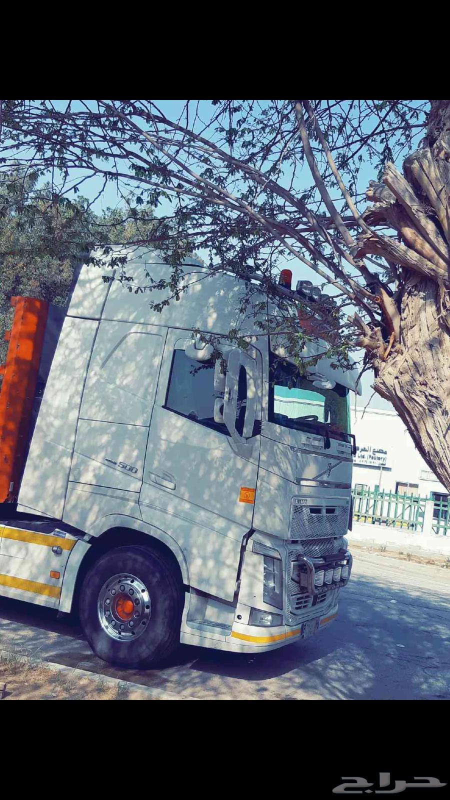 Hello, Trila Star is available for service64249939715969110