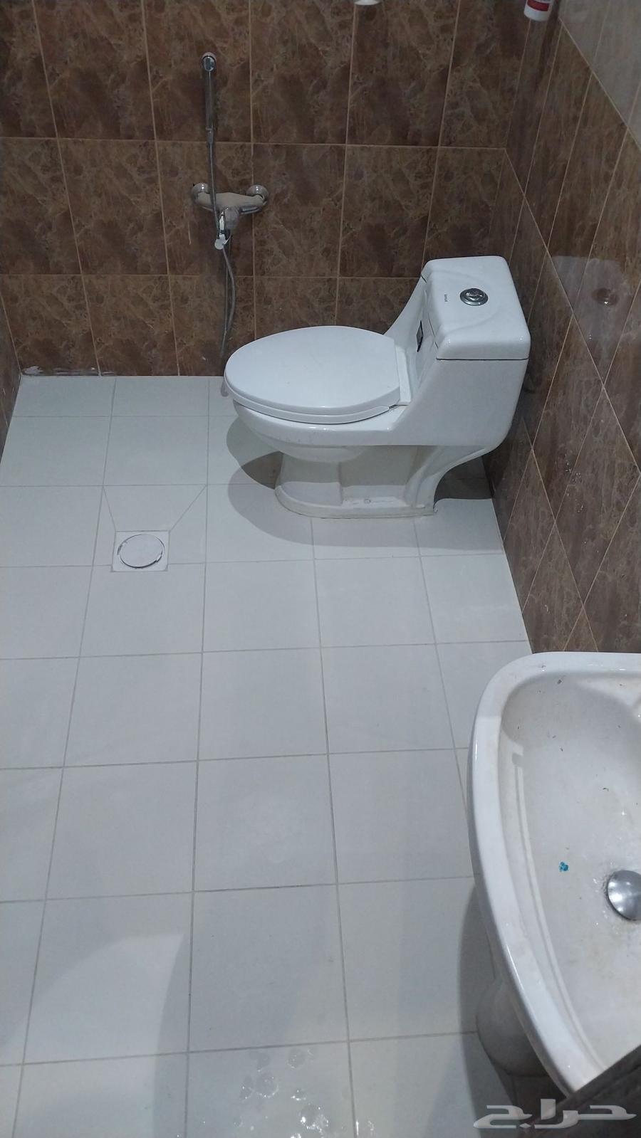 Leak Detection and Repairs64254156001794113