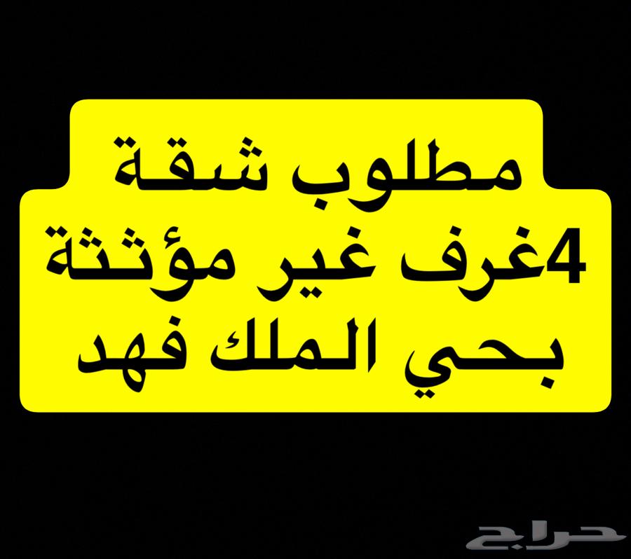 أبحث عن شقة 4 غرف بحي الملك فهد64249713544579110