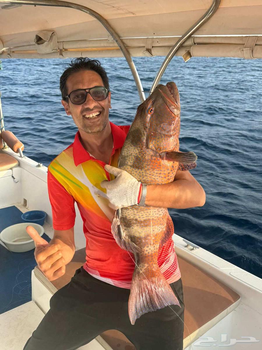 Sea trip, fishing trip, white island trip, hourly trips of various types64254666159875112