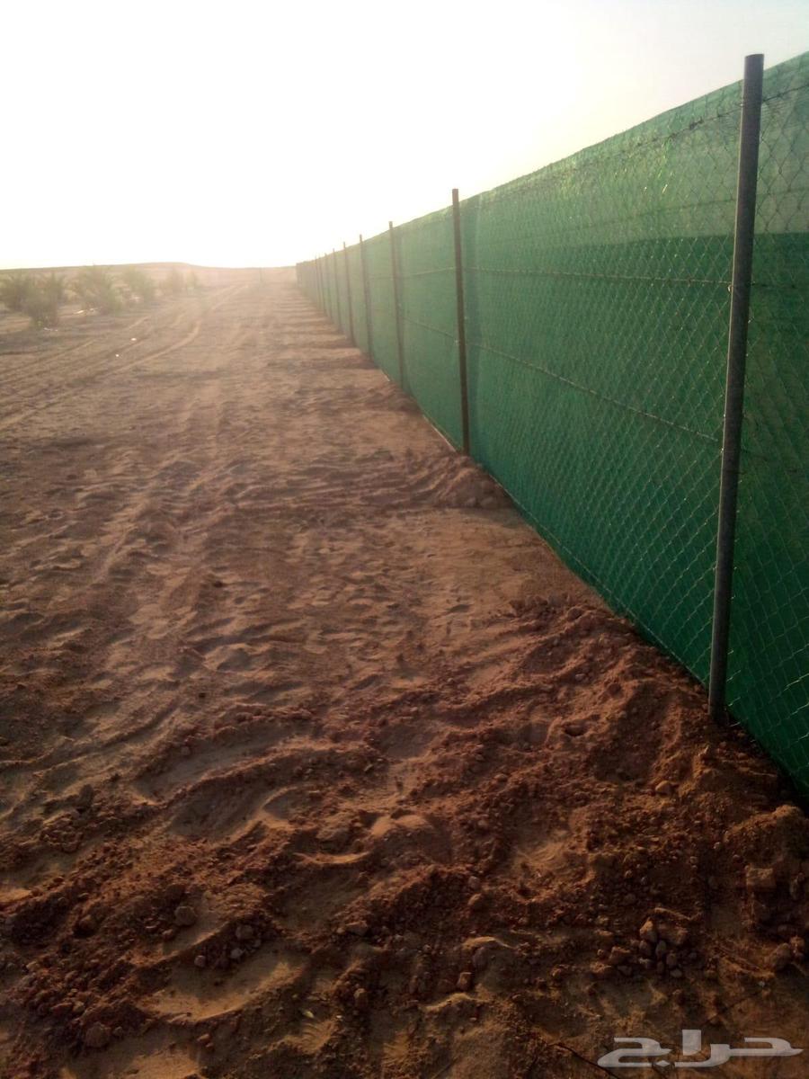 We work in palm tree excavation and planting, and we install all types of fences.64254317848067110