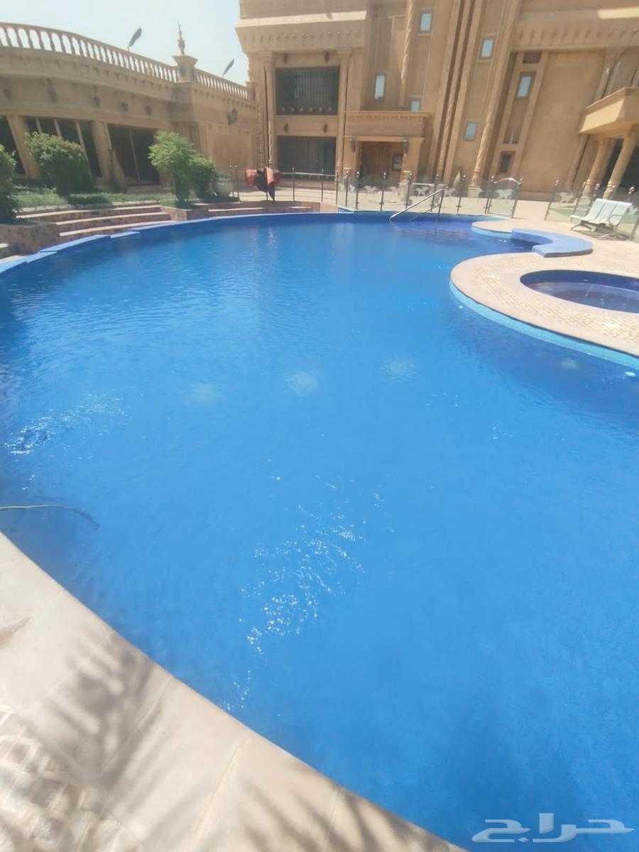 Pool Cleaning, Pool Maintenance, Pool Renovation, Pool Repair64254156103426110