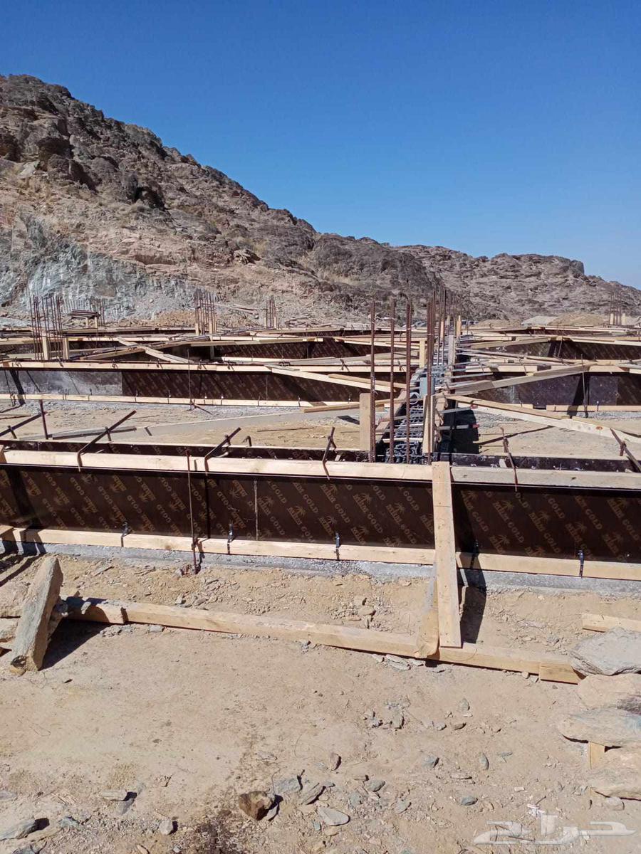 Armed carpenter in Riyadh64249941991937113