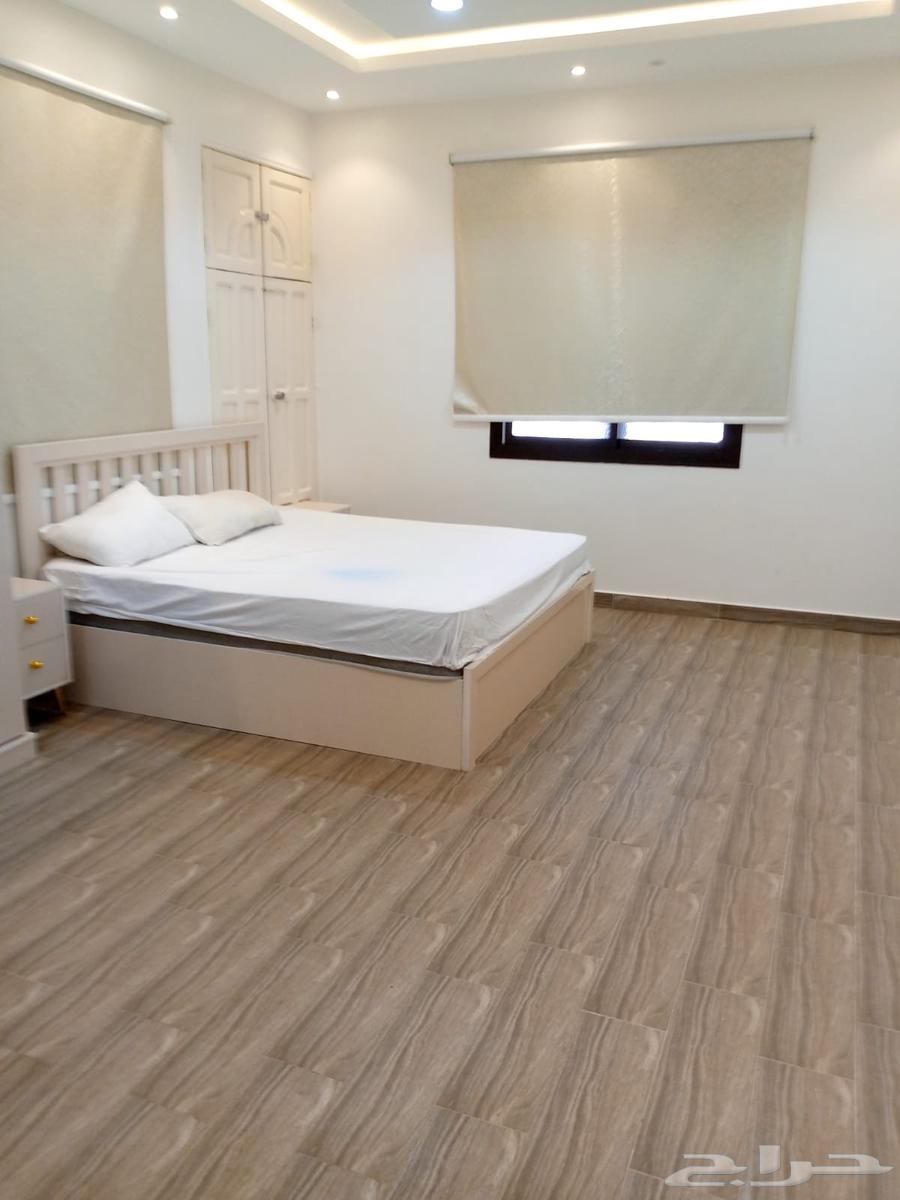 شقة مؤثثة غرفتين وصالة بسطوح خاص بيها64254144905475112