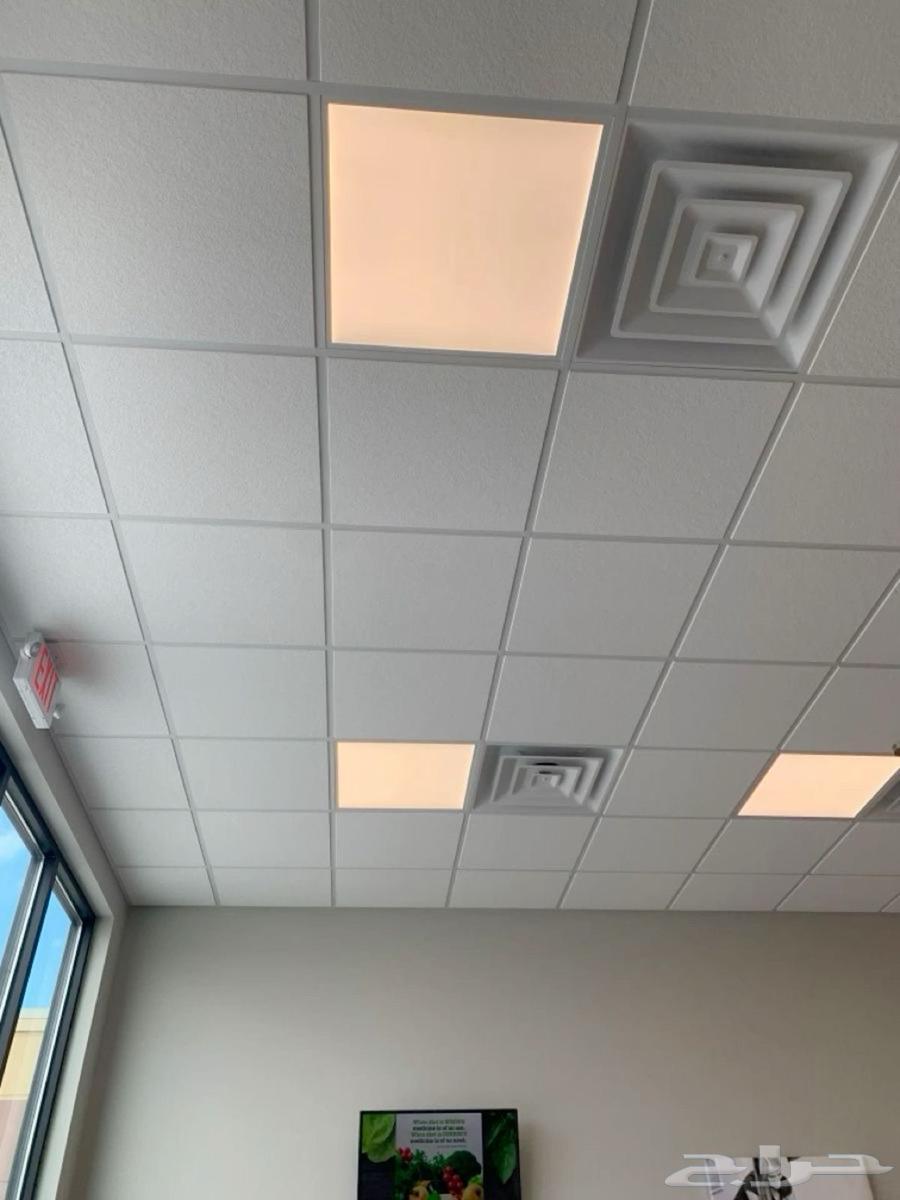 دهانات منزلية ابوكسي وأسقف مستعار64254153059459113