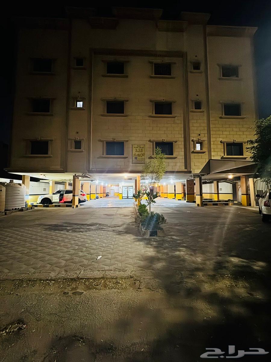 شقة للإيجار