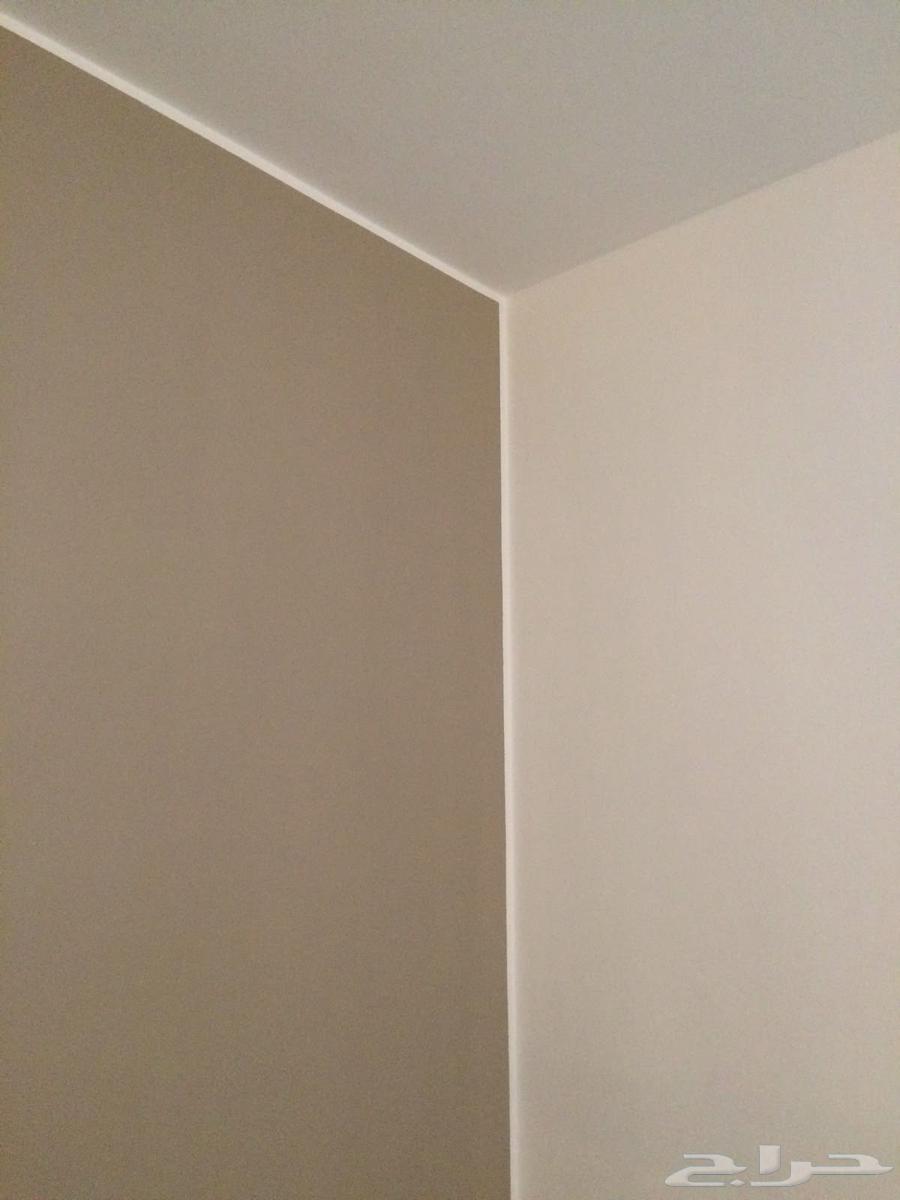 أصباغ ديكورات ترميم أسعار مناسبه64254509187713110