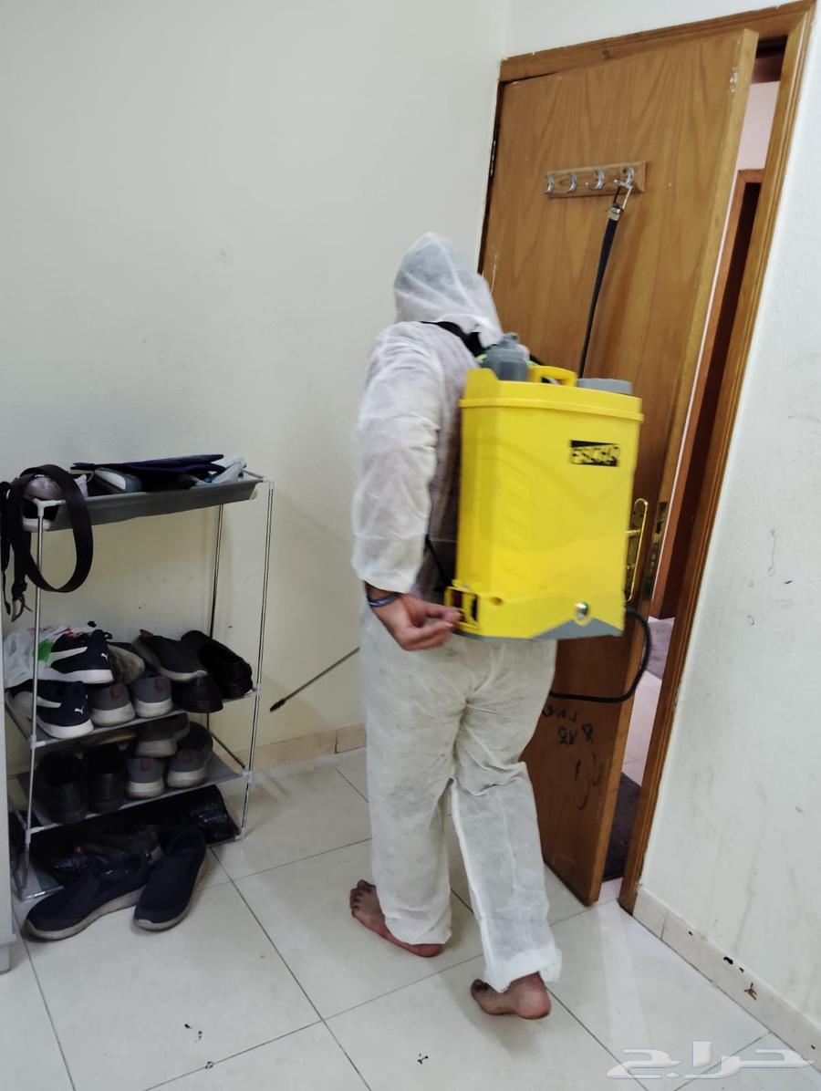 شركة مكافحه حشرات بالدمام وتتظيف خزانات64245000388995113