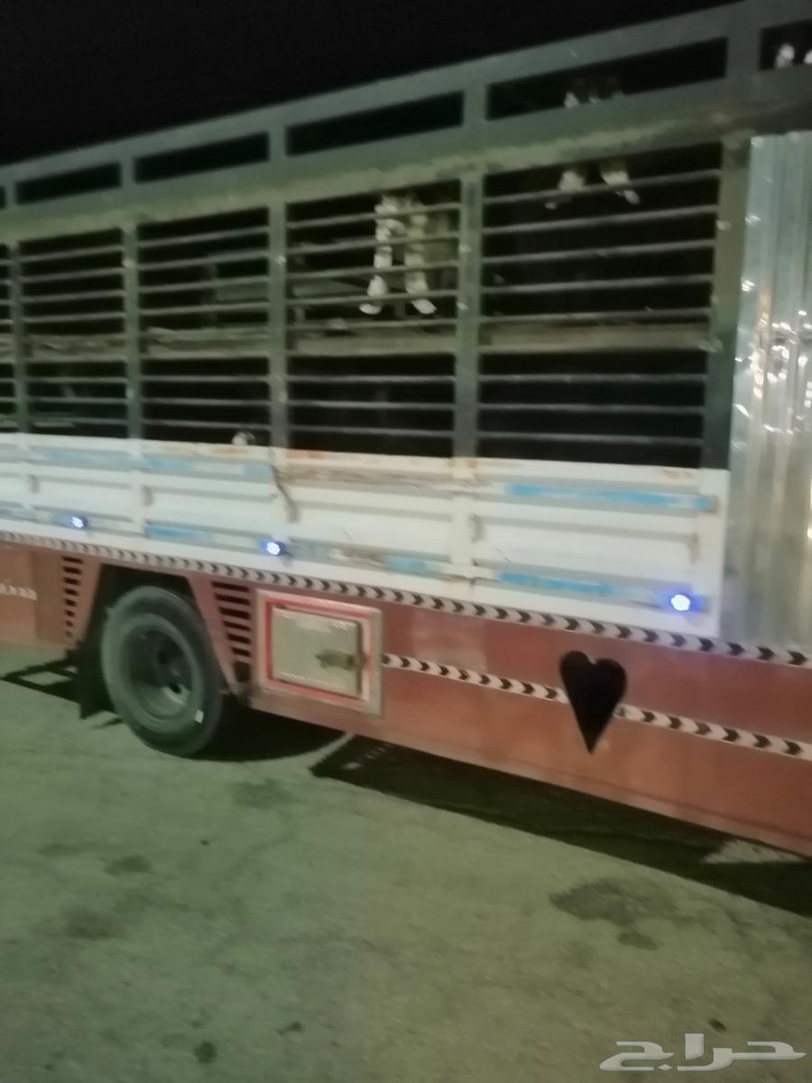 Dana Livestock Loading64249940789507112