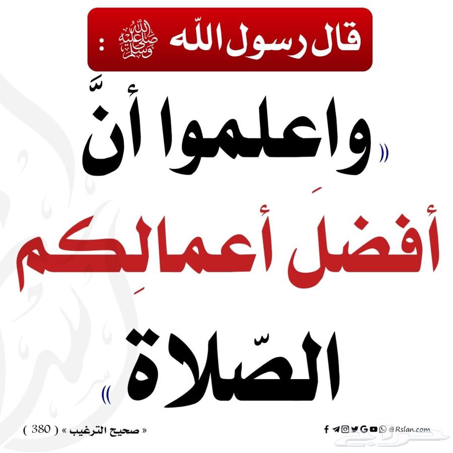 حوش في بير الغنم64249496144386110