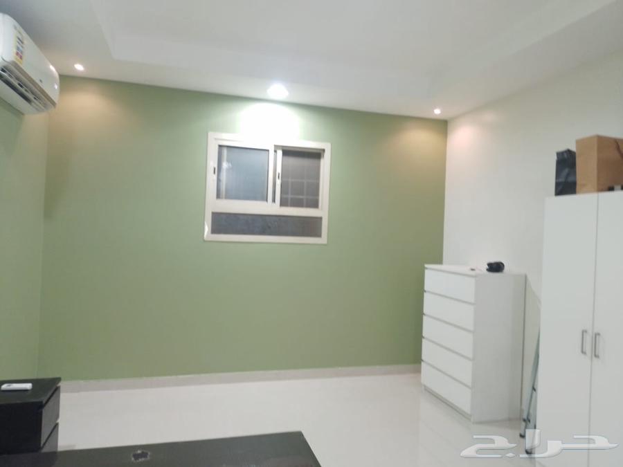 دهانات وديكورات الرياض بديل شيبرد بديل رخام بديل حجر باركيه64254320211075113