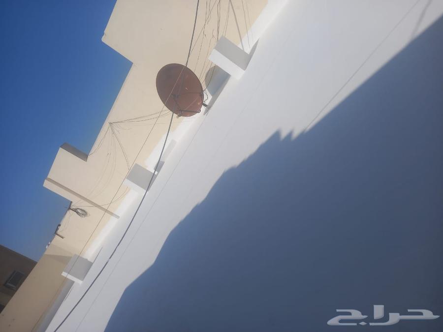 Painting and Surface Insulation in Dammam, Khobar, Qatif, Jubail, Al-Ahsa64249505258241111