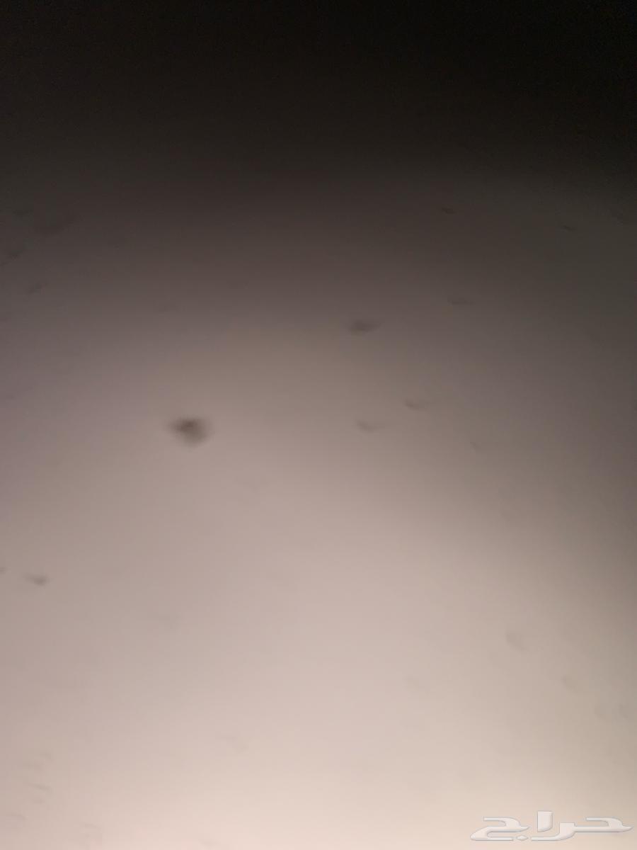 مطلوب سائق في جدة64254666085633110