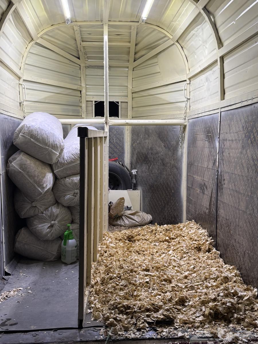 نقل خيل64254668459393111