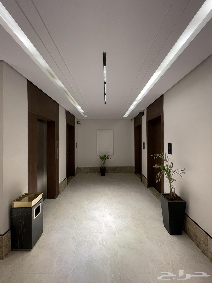 شقه جديده للايجار64249495592321112