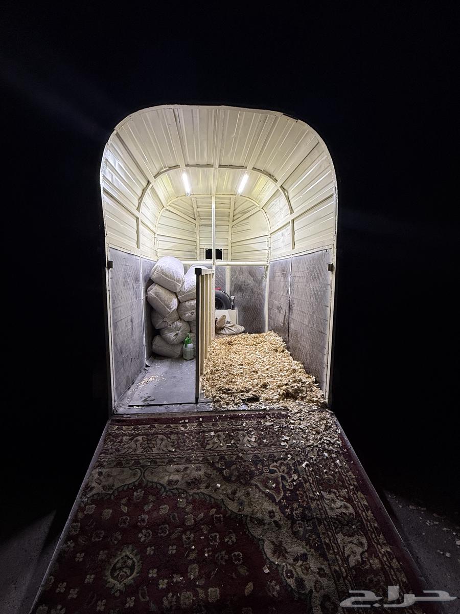 نقل خيل64254668459393112