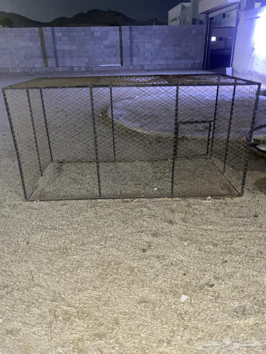 شبك حديد64254957220866111