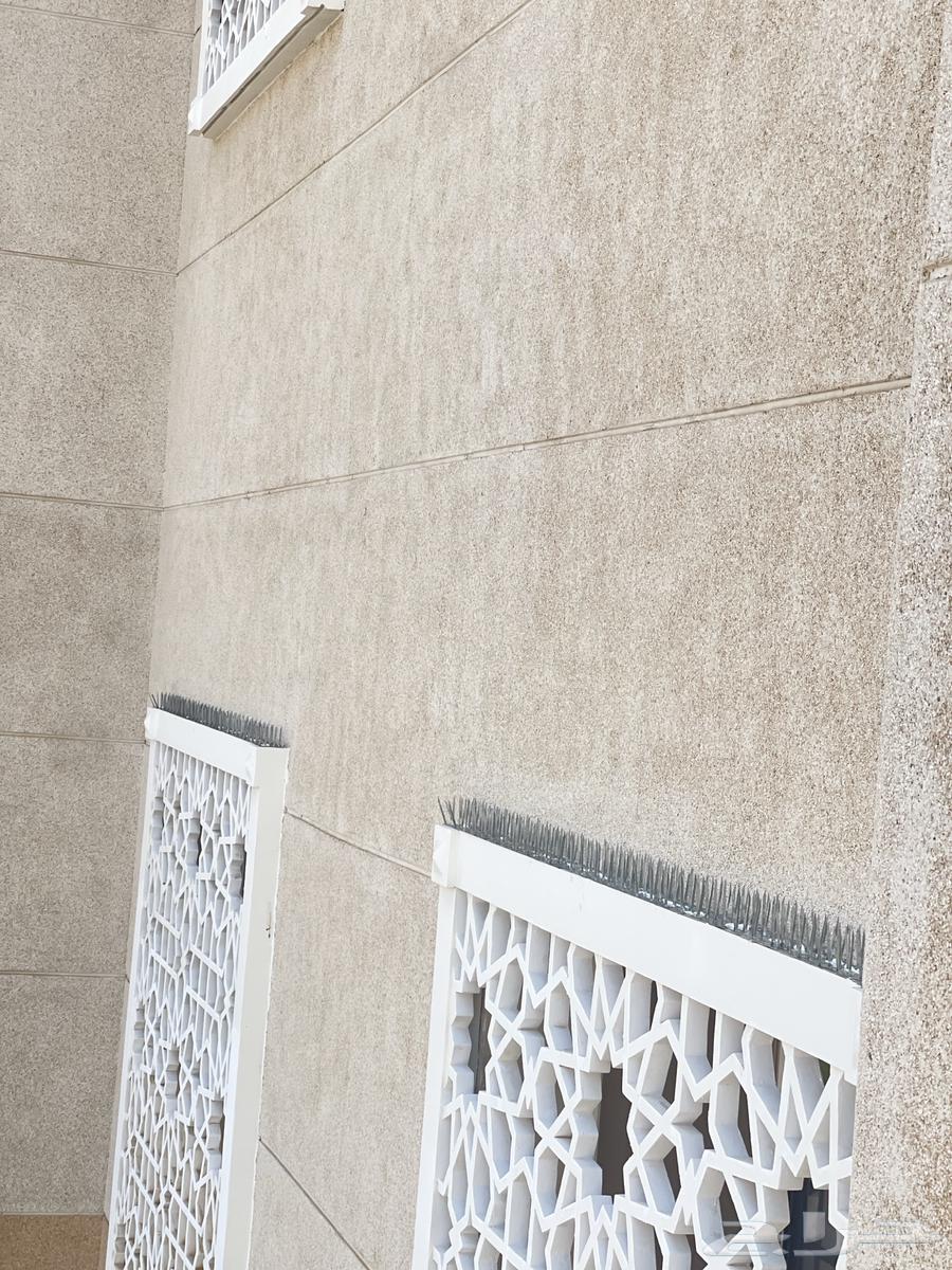 تركيب طارد حمام بجده64244998890113113