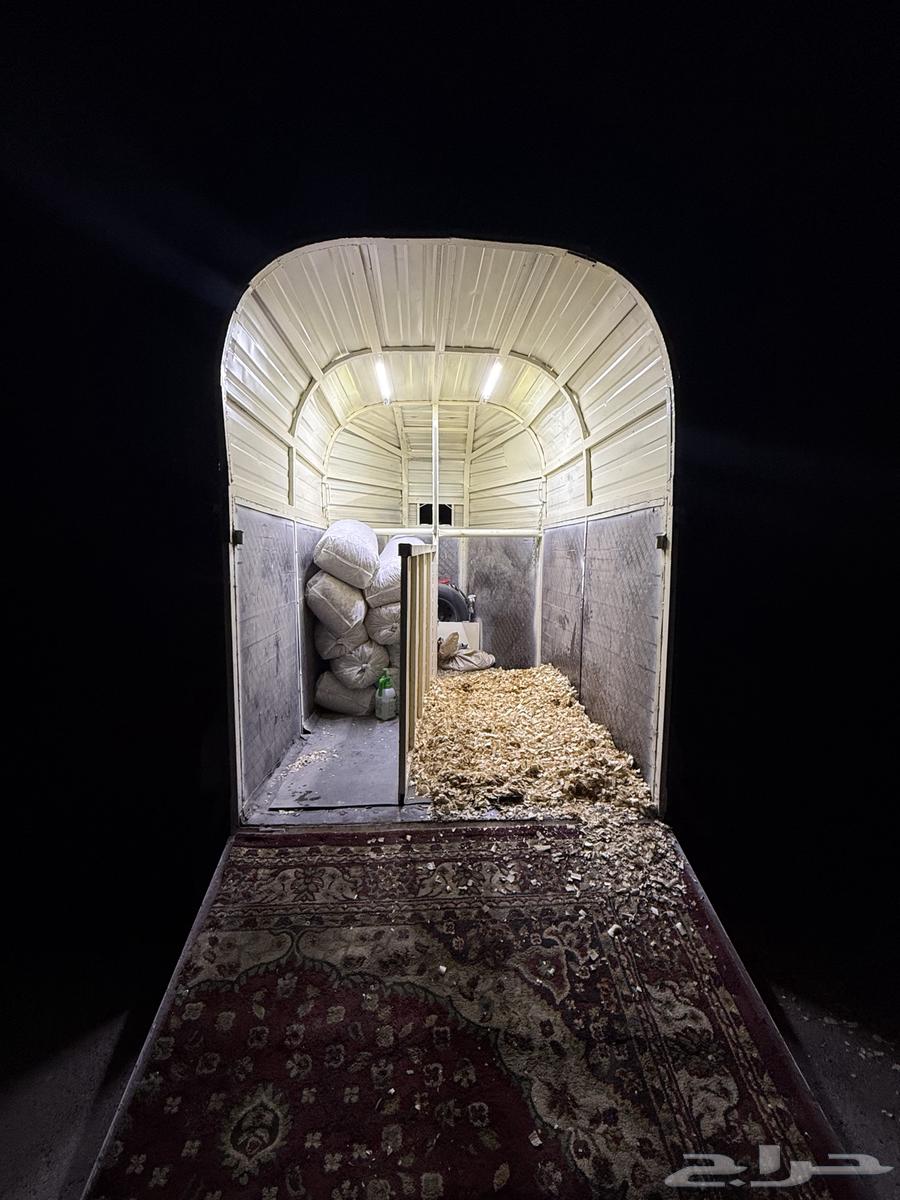 نقل خيل64254668459393110