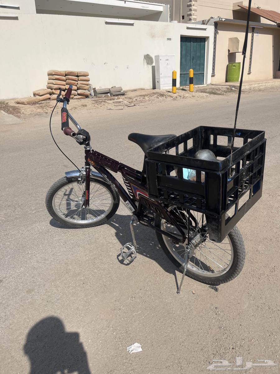 حفر البطن64249938078338111