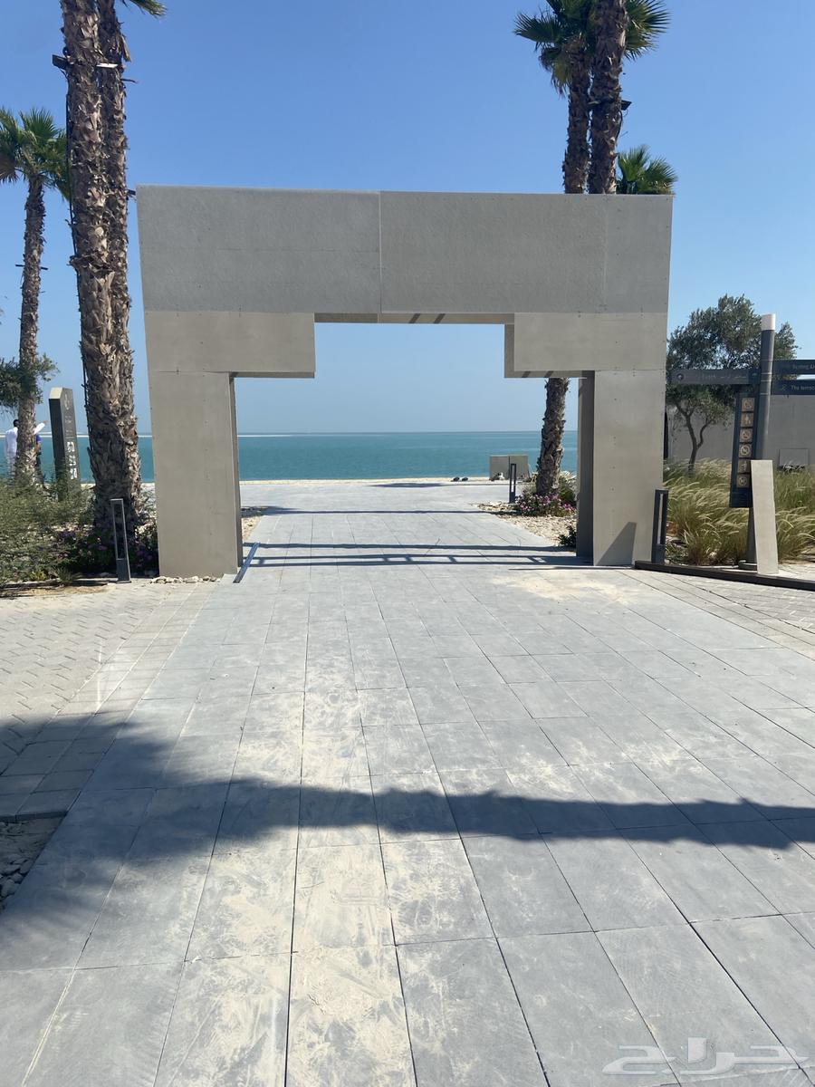 جبس اسمنت بورد أسقف مستعاره مربعات64254956797442112