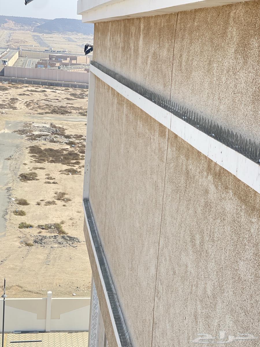 تركيب طارد حمام بجده64244998890113112